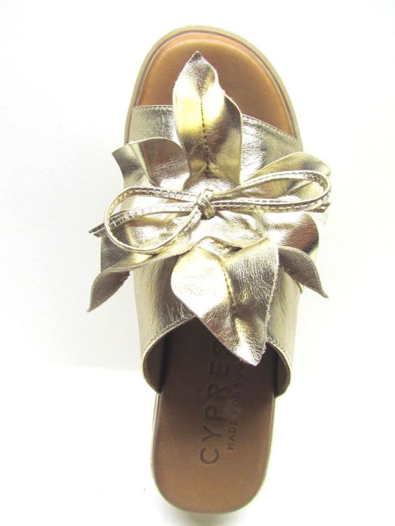 CYPRES MUIL (030.159.3789) - De Gouden Schoe