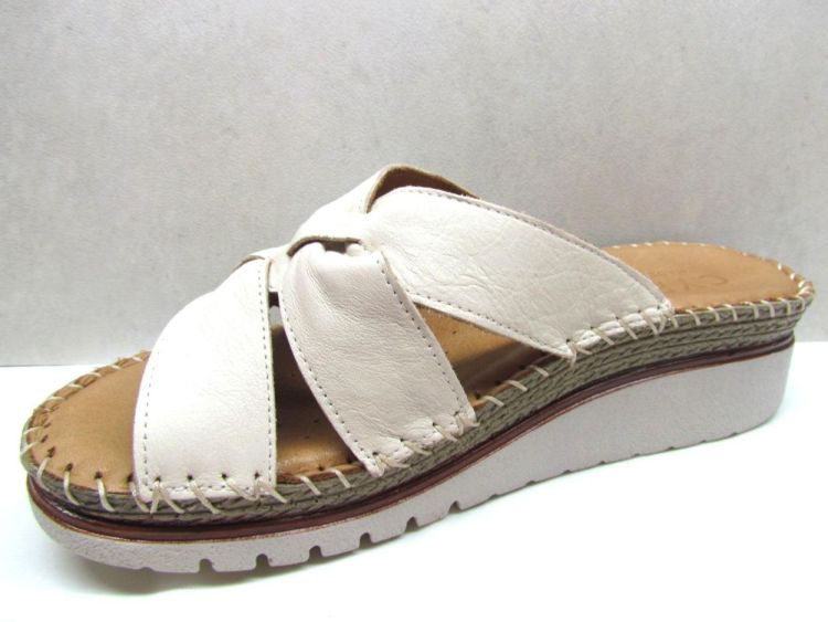 CYPRES MUIL (030.148.0136) - De Gouden Schoe