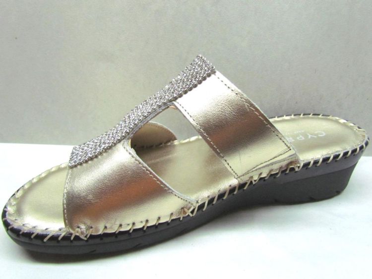 CYPRES MUIL (2134935) - De Gouden Schoe