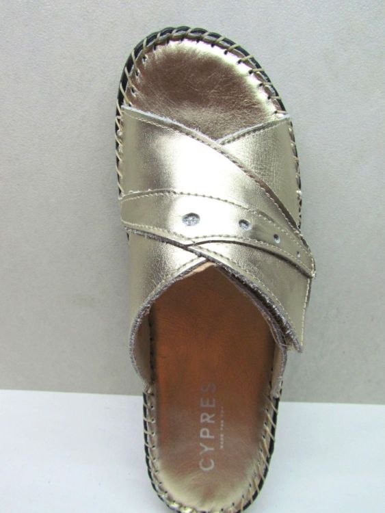 CYPRES MUIL (2134938) - De Gouden Schoe