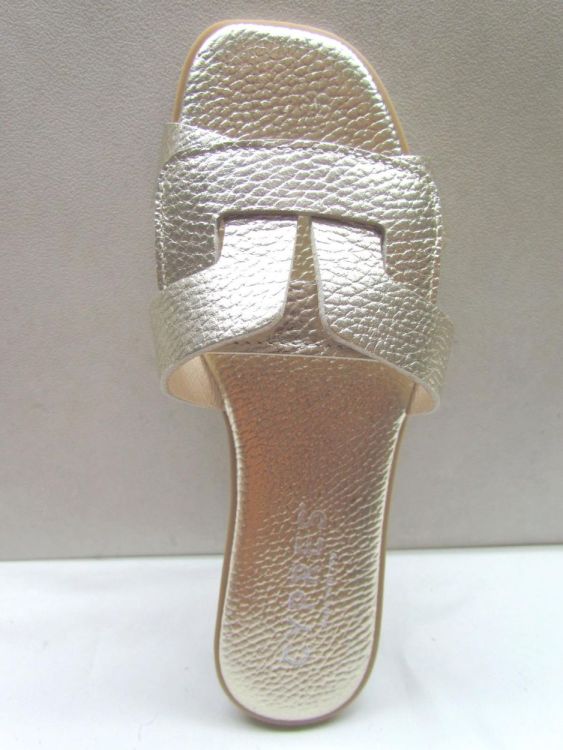 CYPRES MUIL (13137) - De Gouden Schoe