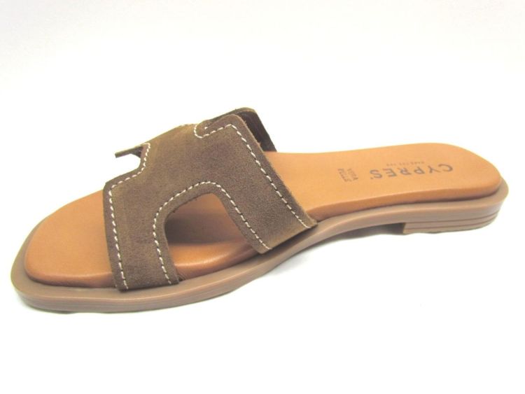 CYPRES MUIL (R225) - De Gouden Schoe