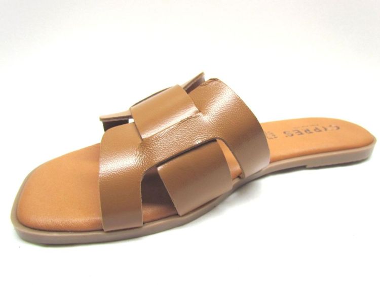 CYPRES MUIL (P349) - De Gouden Schoe