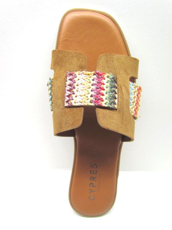 CYPRES MUIL (P349) - De Gouden Schoe