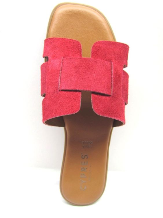 CYPRES MUIL (P349) - De Gouden Schoe