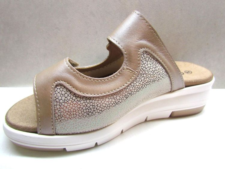 CYPRES MUIL (1300 13011) - De Gouden Schoe