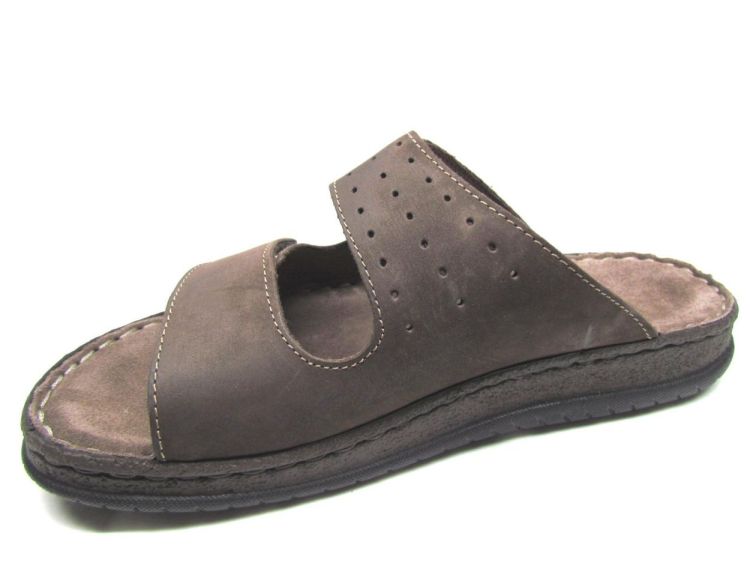 CYPRES MUIL (9289 45281) - De Gouden Schoe