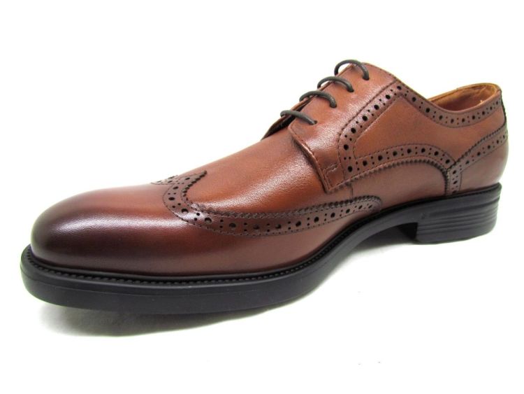 DANIEL KENNETH VETERSCHOEN (T902-B80) - De Gouden Schoe