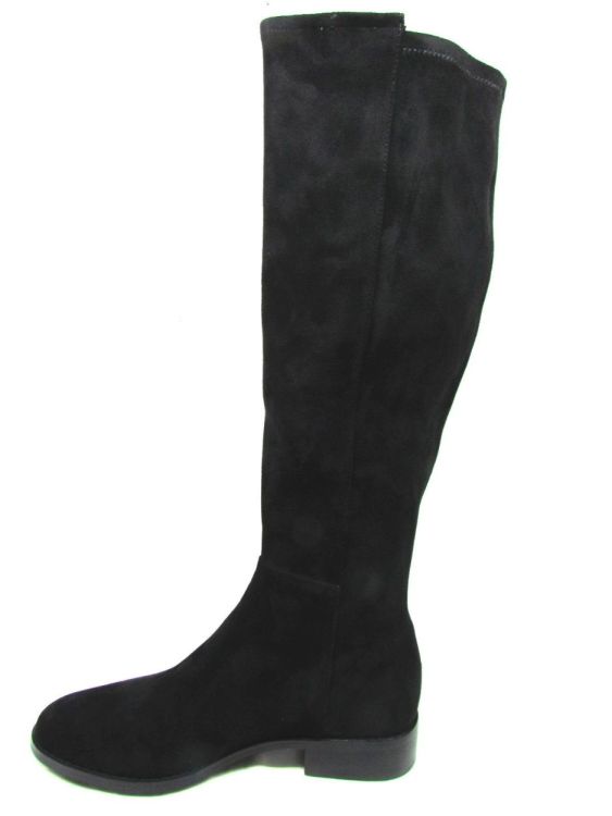 DI LAURO LAARS (1830-1) - De Gouden Schoe