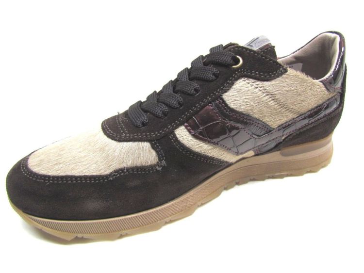 DL-SPORT VETERSCHOEN (7142) - De Gouden Schoe