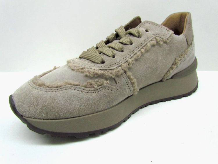 GABOR VETERSCHOEN (73.496.12) - De Gouden Schoe