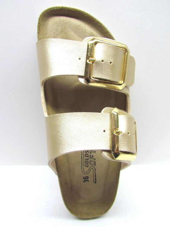 GOLDSTAR MUIL (801Q) - De Gouden Schoe