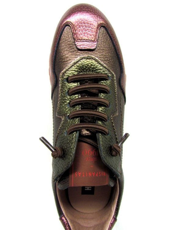 HISPANITAS VETERSCHOEN (CHI254312) - De Gouden Schoe