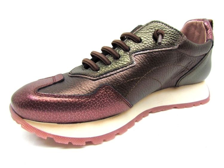 HISPANITAS VETERSCHOEN (CHI254312) - De Gouden Schoe