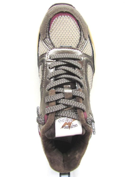 MRP SNEAKER (Melrose 59) - De Gouden Schoe