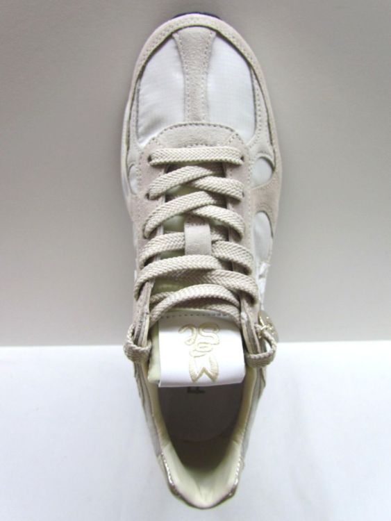 PREMIATA SNEAKER (Mased 8116) - De Gouden Schoe