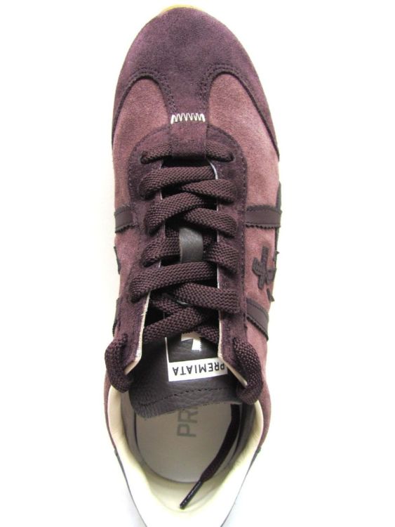 PREMIATA SNEAKER (Jacky25D) - De Gouden Schoe