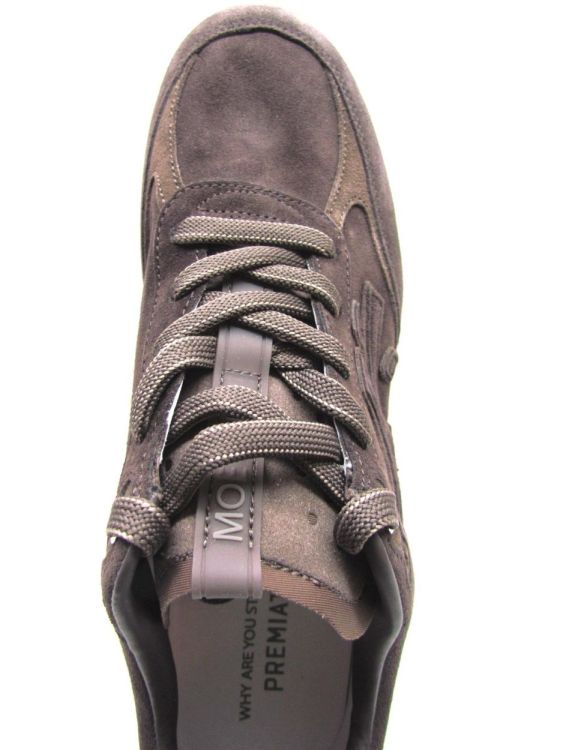 PREMIATA SNEAKER (Moerund var 8636) - De Gouden Schoe