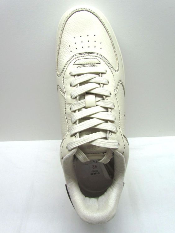 RALPH LAUREN VETERSCHOEN (Master crt-sneakers low top) - De Gouden Schoe