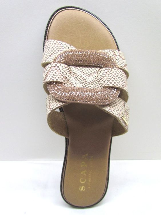 SCAPA MUIL (21-5594Z) - De Gouden Schoe