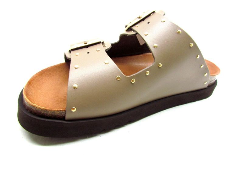 SCHOLL MUIL (Beatriz F30613) - De Gouden Schoe