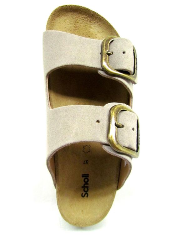 SCHOLL MUIL (F31580) - De Gouden Schoe