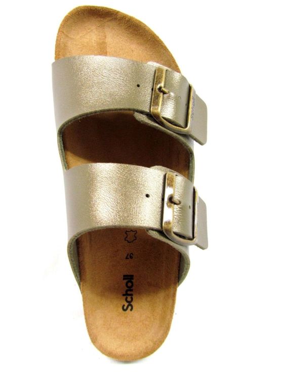 SCHOLL MUIL (Josephine F30046) - De Gouden Schoe