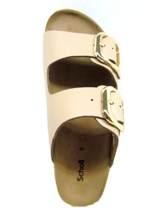 SCHOLL MUIL (F30065) - De Gouden Schoe