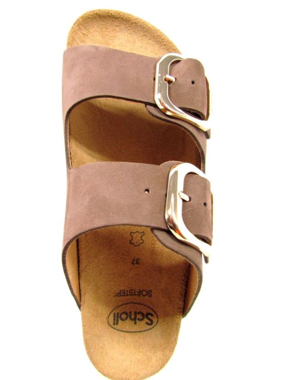 SCHOLL MUIL (Noelle F30115) - De Gouden Schoe