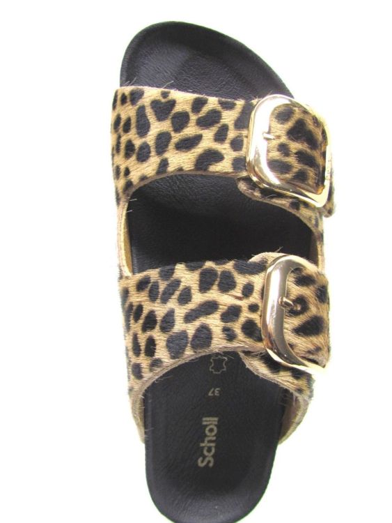 SCHOLL MUIL (Noelle Pmlea-w) - De Gouden Schoe