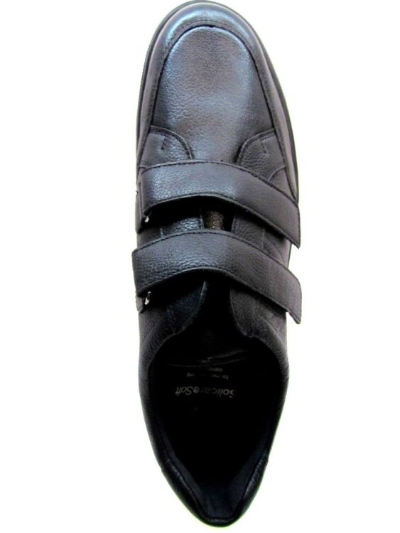 SOLIDUS MOLIERE (Hardy) - De Gouden Schoe