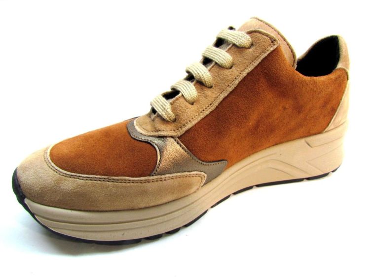 SOLIDUS MOLIERE (Holly) - De Gouden Schoe