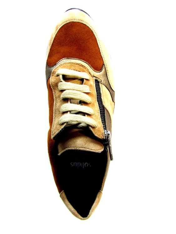 SOLIDUS MOLIERE (Holly) - De Gouden Schoe