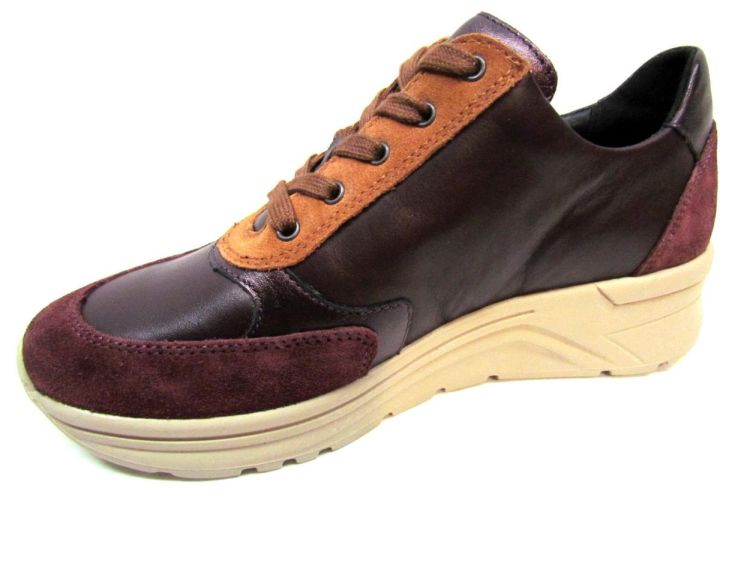 SOLIDUS MOLIERE (Karma - 59083-50599) - De Gouden Schoe