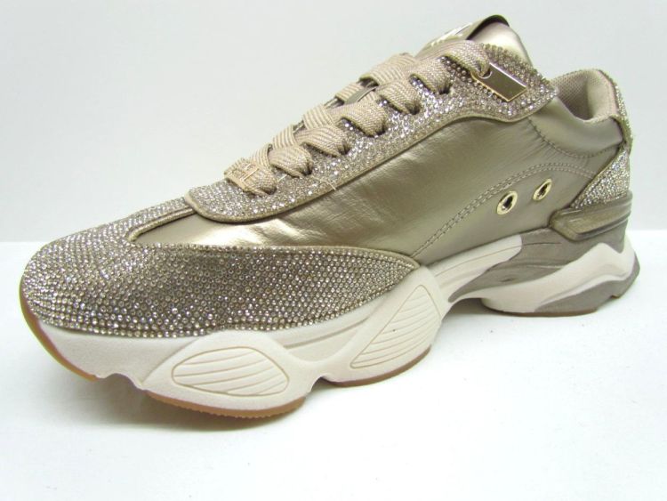 STEVE MADDEN SNEAKER (Setback-R gold) - De Gouden Schoe