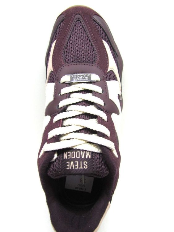 STEVE MADDEN SNEAKER (Speedster) - De Gouden Schoe