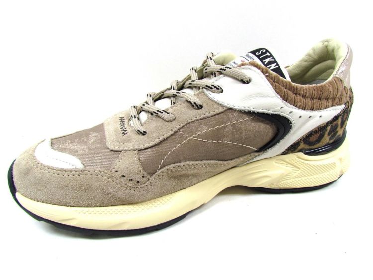 STOKTON SNEAKER (Reverse-D) - De Gouden Schoe