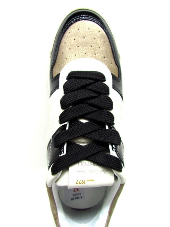 STOKTON SNEAKER (Aura-D) - De Gouden Schoe