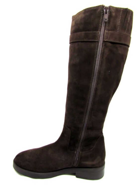 UNISA LAARS (Edeli) - De Gouden Schoe