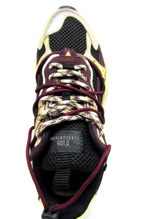 ZEROCENTCINQ SNEAKER (Spider gold wine) - De Gouden Schoe