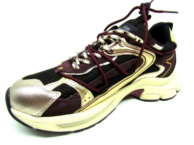 ZEROCENTCINQ SNEAKER (Spider gold wine) - De Gouden Schoe