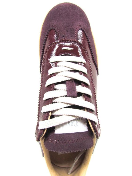 ZEROCENTCINQ SNEAKER (Novaroyal) - De Gouden Schoe